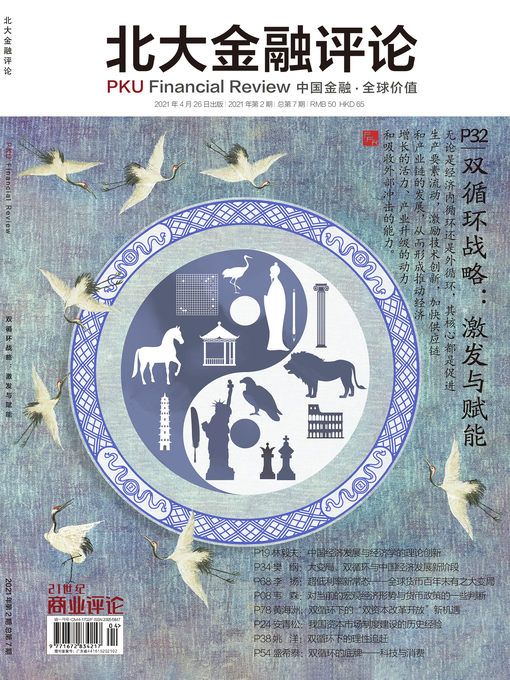 Cover image for 双循环战略